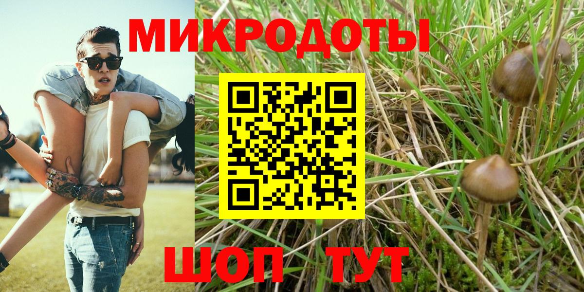 Псилоцибиновые грибы мухоморы Котовск